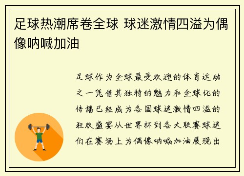 足球热潮席卷全球 球迷激情四溢为偶像呐喊加油