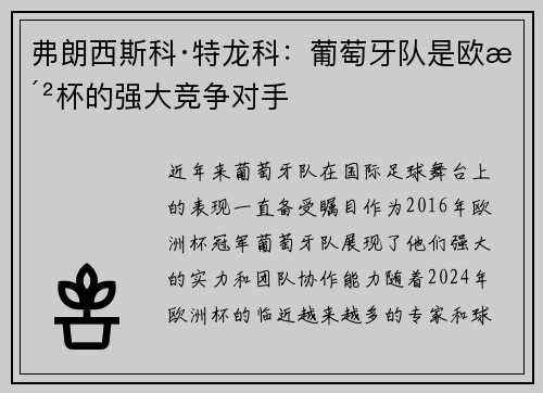 弗朗西斯科·特龙科：葡萄牙队是欧洲杯的强大竞争对手