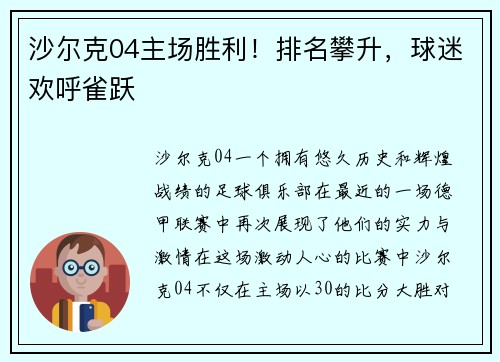 沙尔克04主场胜利！排名攀升，球迷欢呼雀跃