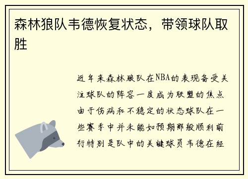 森林狼队韦德恢复状态，带领球队取胜