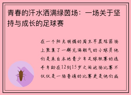 青春的汗水洒满绿茵场：一场关于坚持与成长的足球赛