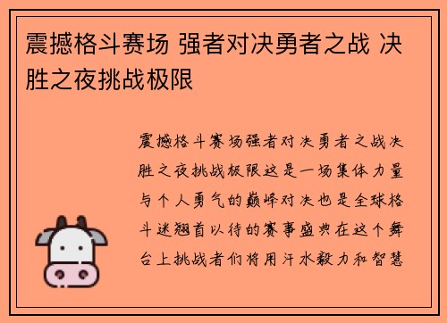 震撼格斗赛场 强者对决勇者之战 决胜之夜挑战极限